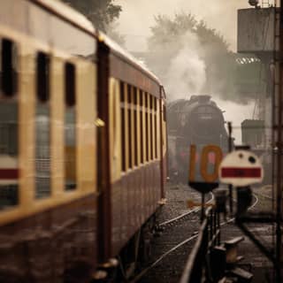 Steam engine and cream and chocolate-coloured vintage train carriages on tracks